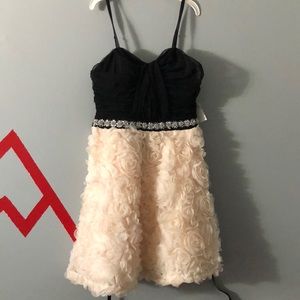 Deb Dress Size 13